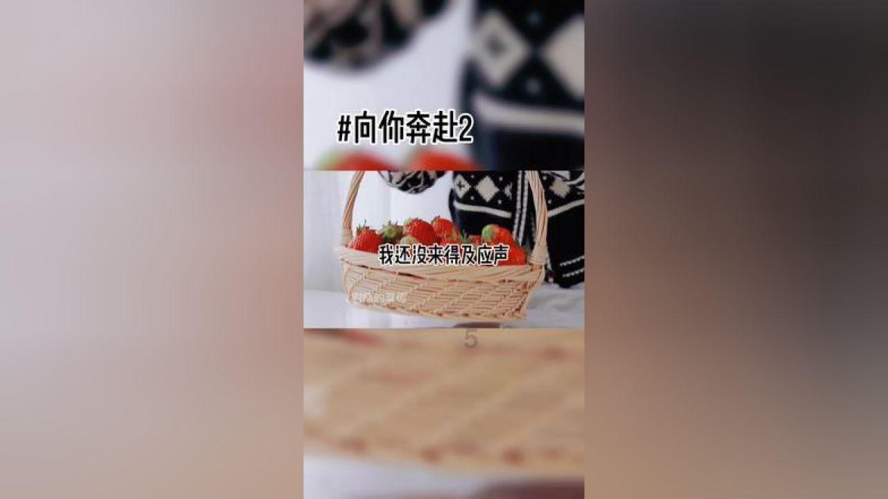 逃出熊蜂森林