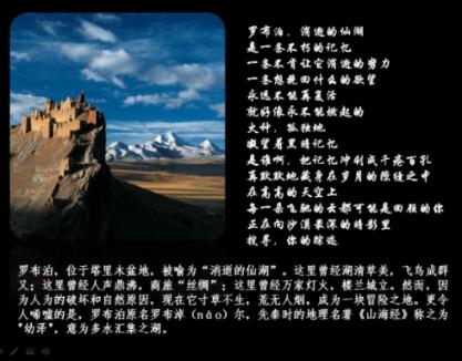 美发沙龙设计师