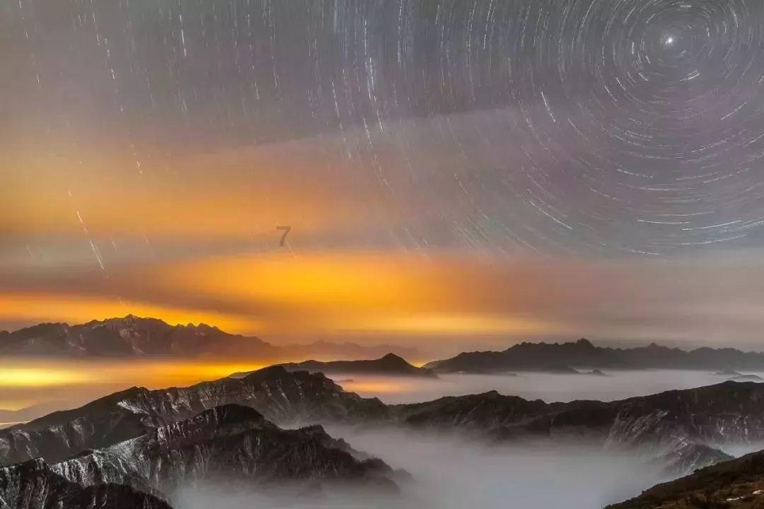 精灵格蕾