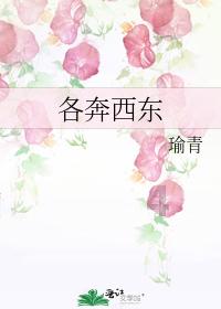 方程式飙车